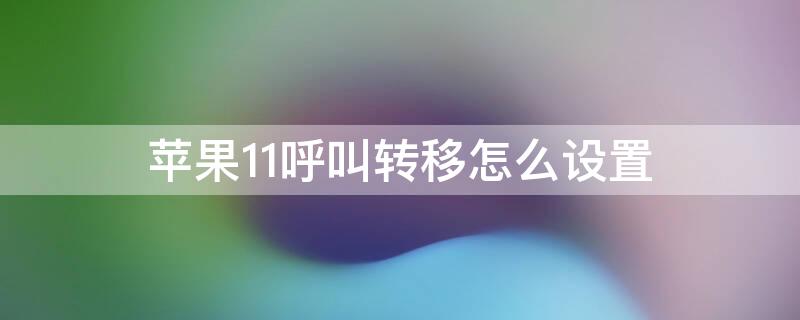 iPhone11呼叫转移怎么设置 iphone11呼叫转移设置不了