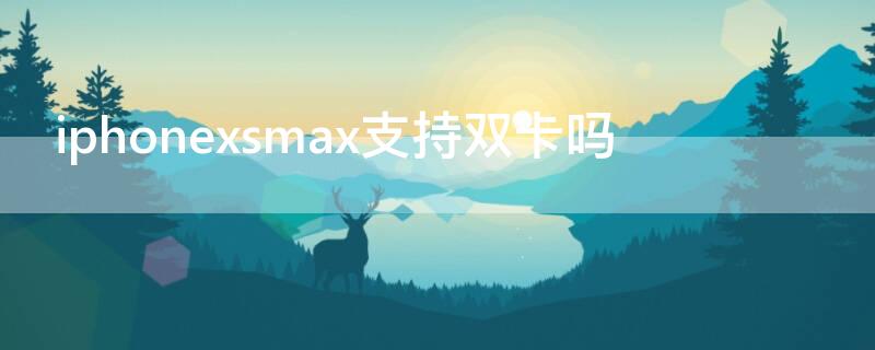 iPhonexsmax支持双卡吗 iphonexsmax支持双卡么