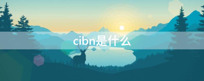 cibn是什么 cibn是什么意思
