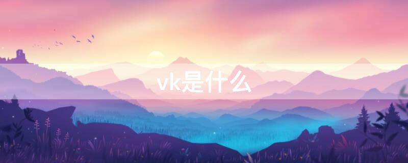 vk是什么（vk是什么意思）