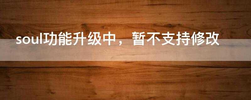 soul功能升级中，暂不支持修改 soul不能更新