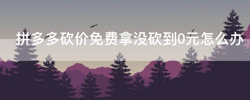 拼多多砍价免费拿没砍到0元怎么办（拼多多免费砍价还剩0.02怎么砍不到）