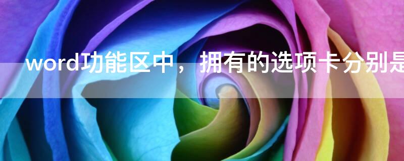 word功能区中，拥有的选项卡分别是 在 word 功能区中,拥有的选项卡分别是