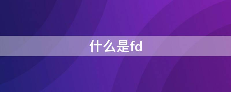 什么是fd 什么是fdm技术