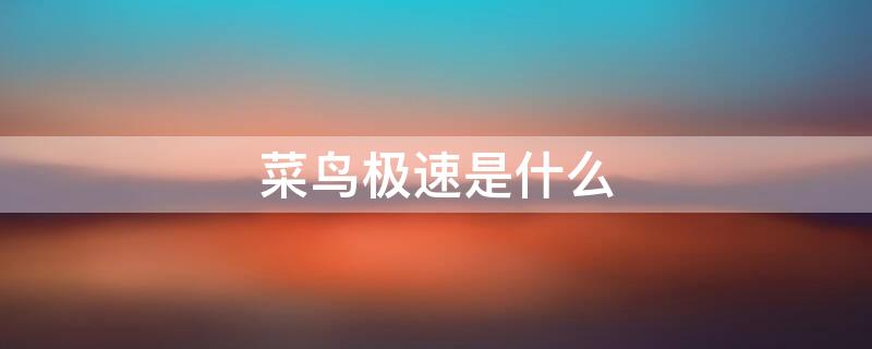 菜鸟极速是什么（菜鸟极速是干什么用的）