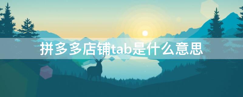 拼多多店铺tab是什么意思 拼多多卖家界面