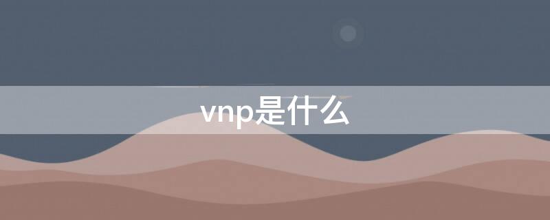 vnp是什么（foxoVNP是什么）