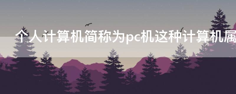 个人计算机简称为pc机这种计算机属于（个人计算机简称为pc机这种计算机属于什么计算）