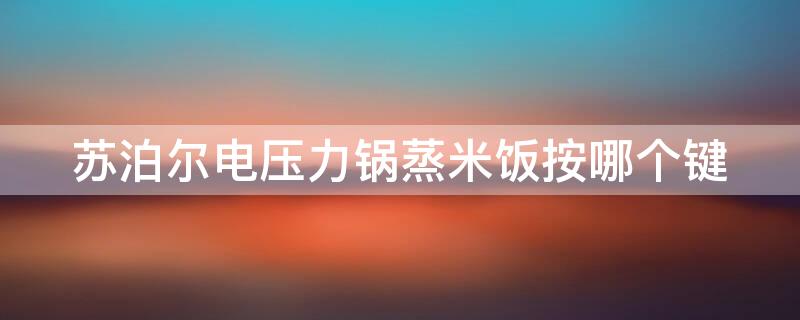 苏泊尔电压力锅蒸米饭按哪个键 苏泊尔哪个功能是蒸米饭
