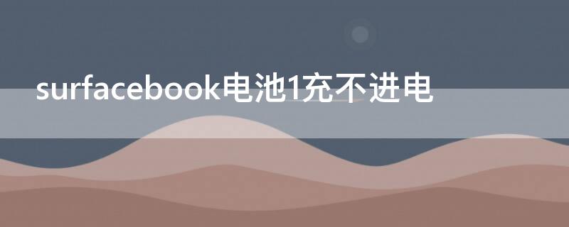 surfacebook电池1充不进电（surface book电池1充不了电）