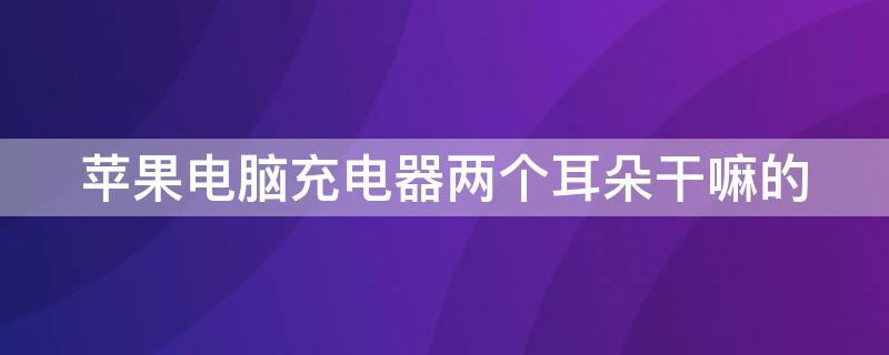 iPhone电脑充电器两个耳朵干嘛的（苹果电脑充电线上两个耳朵是什么）