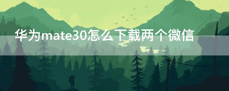 华为mate30怎么下载两个微信（华为mate30pro怎么下载两个微信）