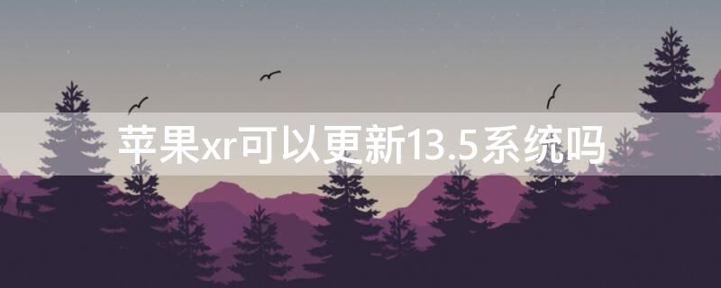 iPhonexr可以更新13.5系统吗（苹果xr可以更新13.3吗?）