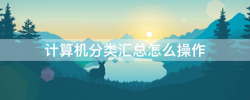 计算机分类汇总怎么操作（计算机分类汇总怎么操作的）