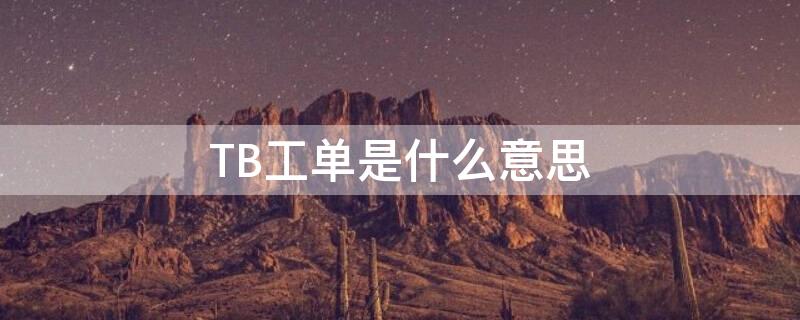 TB工单是什么意思（tb做工）