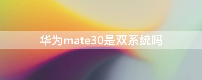 华为mate30是双系统吗（华为mate30双系统价格）