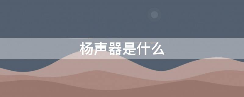 杨声器是什么（杨声器的结构）