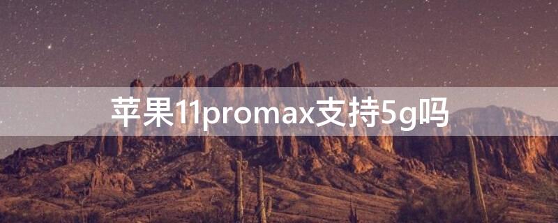 iPhone11promax支持5g吗（iphone11promax支持5g么）