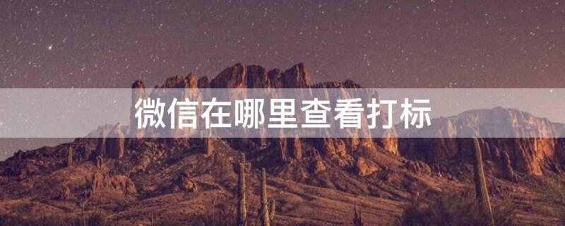 微信在哪里查看打标（微信在哪里查看打标记录）
