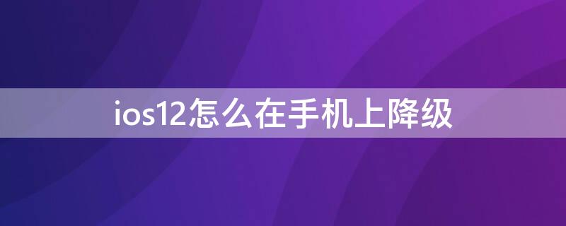 ios12怎么在手机上降级 ios12.5怎么降级