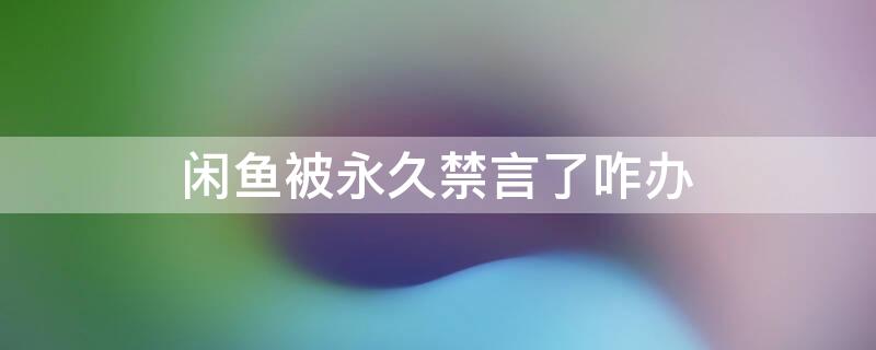 闲鱼被永久禁言了咋办（闲鱼被永久禁言了咋办啊）