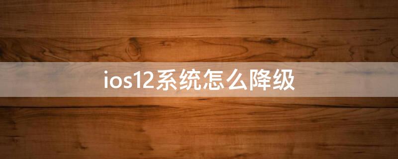 ios12系统怎么降级 ios12.5.3怎么降级