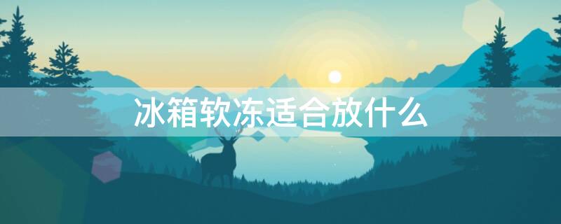 冰箱软冻适合放什么（冰箱软冻适合放什么东西）