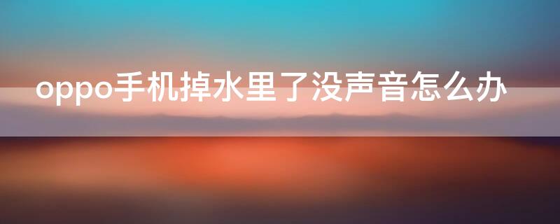 oppo手机掉水里了没声音怎么办（oppo手机掉水里了没声音怎么办呢）