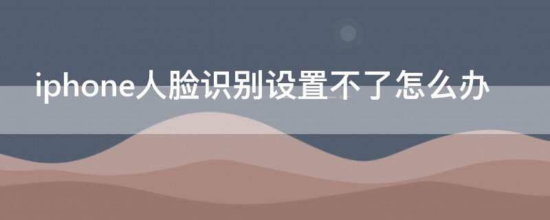 iPhone人脸识别设置不了怎么办 iphone人脸识别无法设置