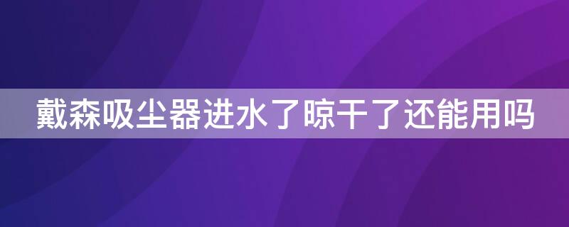 戴森吸尘器进水了晾干了还能用吗 戴森吸尘器吸头进水了晾干了还能用吗