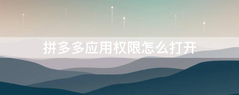 拼多多应用权限怎么打开 拼多多的应用权限