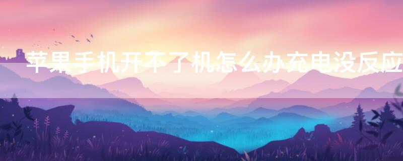 iPhone手机开不了机怎么办充电没反应 苹果手机开不开机充不进电怎么回事