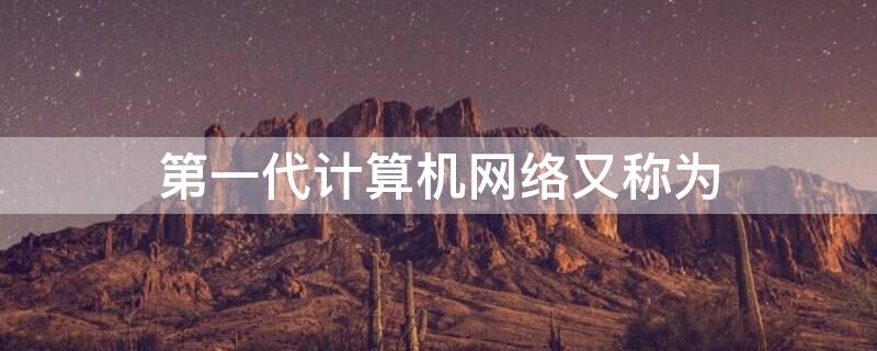 第一代计算机网络又称为（第一代计算机网络的典型代表是( ）