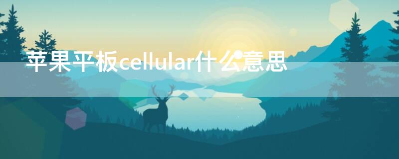 iPhone平板cellular什么意思（苹果平板电脑cellular版是什么意思）