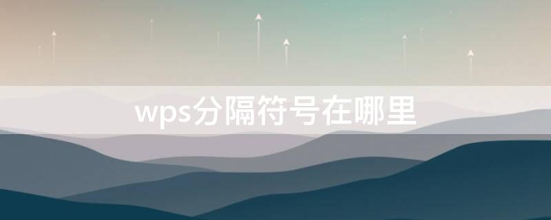 wps分隔符号在哪里（wpsexcel分隔符号在哪里）