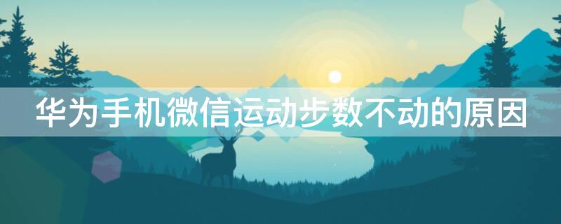 华为手机微信运动步数不动的原因 华为手机微信运动步数不动的原因
