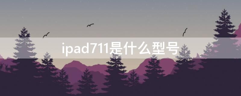 ipad711是什么型号（ipad711是什么时候上市）