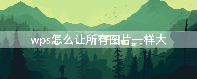wps怎么让所有图片一样大（wps怎么让所有图片一样大一点）