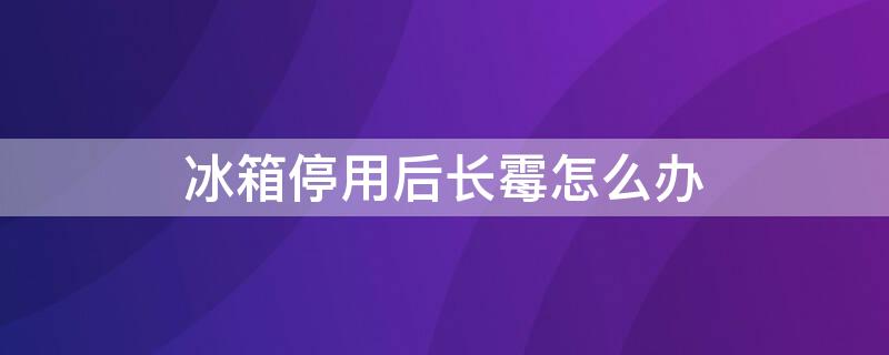 冰箱停用后长霉怎么办 冰箱停用发霉怎么处理