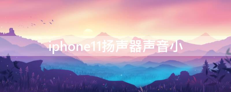 iPhone11扬声器声音小 iphone11扬声器声音小怎么办