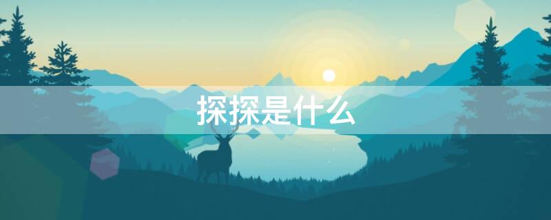 探探是什么 探探是什么软件平台