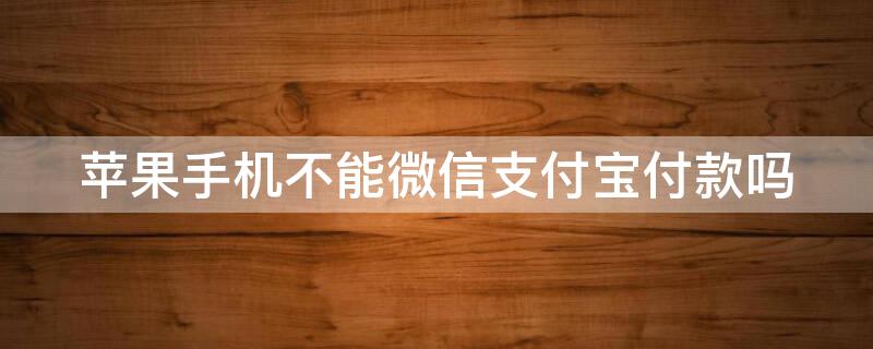 iPhone手机不能微信支付宝付款吗（苹果手机不支持微信和支付宝）