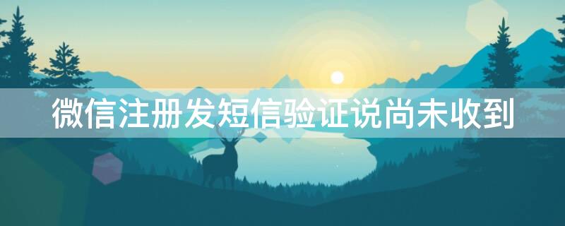 微信注册发短信验证说尚未收到 微信注册发短信验证说尚未收到短信