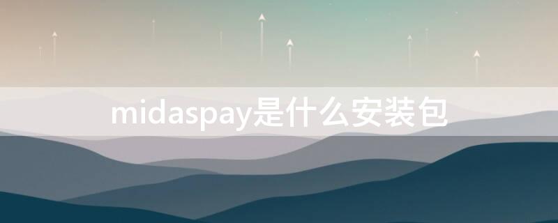 midaspay是什么安装包（midaspay安装包能删吗）