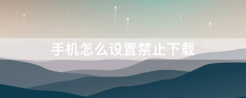 手机怎么设置禁止下载(手机怎么设置禁止下载和平精英)