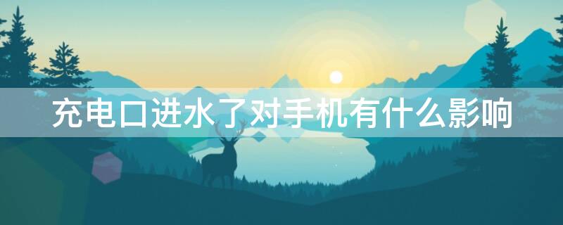 充电口进水了对手机有什么影响 手机进水多久能自然干