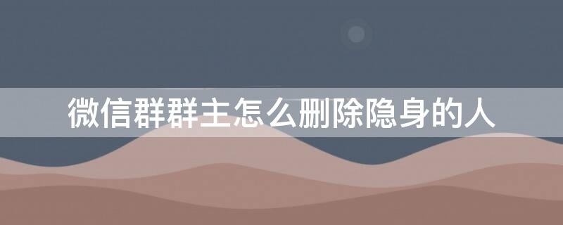 微信群群主怎么删除隐身的人（微信群群主怎么删除隐身的人员）