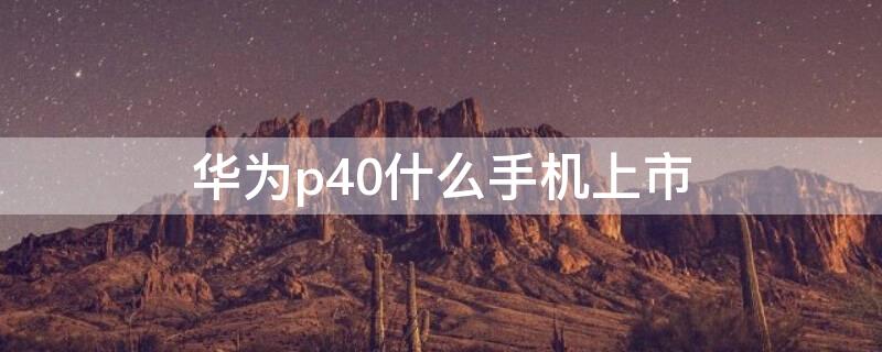 华为p40什么手机上市（华为p40p上市）