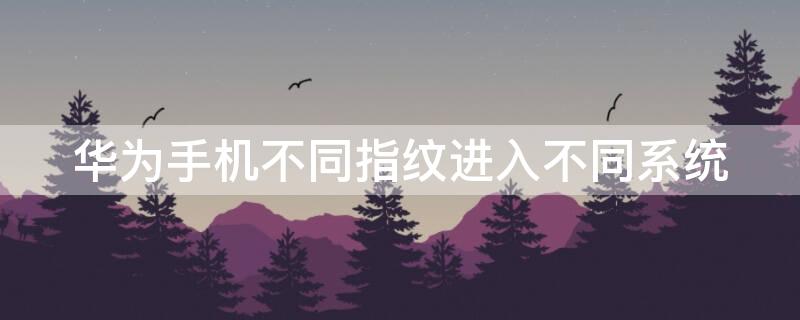 华为手机不同指纹进入不同系统（华为手机不同指纹进入不同系统怎么办）