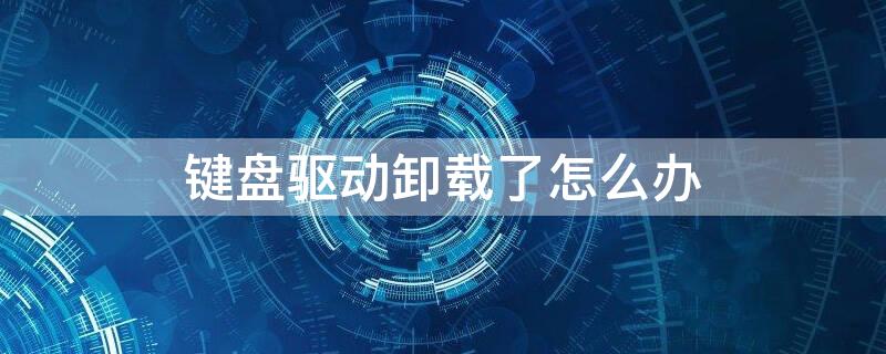 键盘驱动卸载了怎么办（电脑键盘驱动卸载了怎么办）